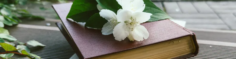 The Enduring Appeal of Quote Collections and Mindful Readings