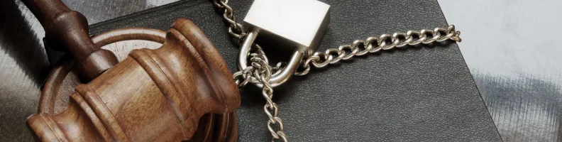 The Top 5 Books Everyone’s Trying to Ban — and Why You Should Read Them