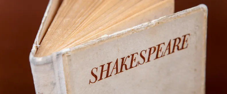 Shakespeare’s Adaptations